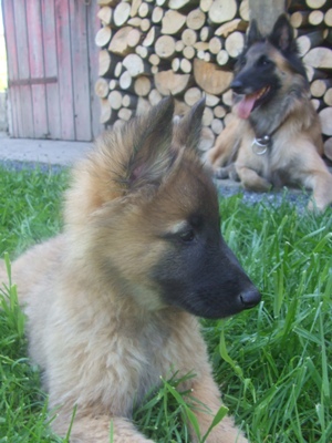 kali26.5.2009 068.jpg